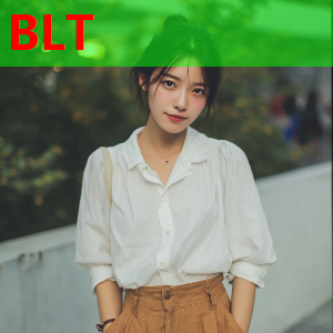 企业软件开发